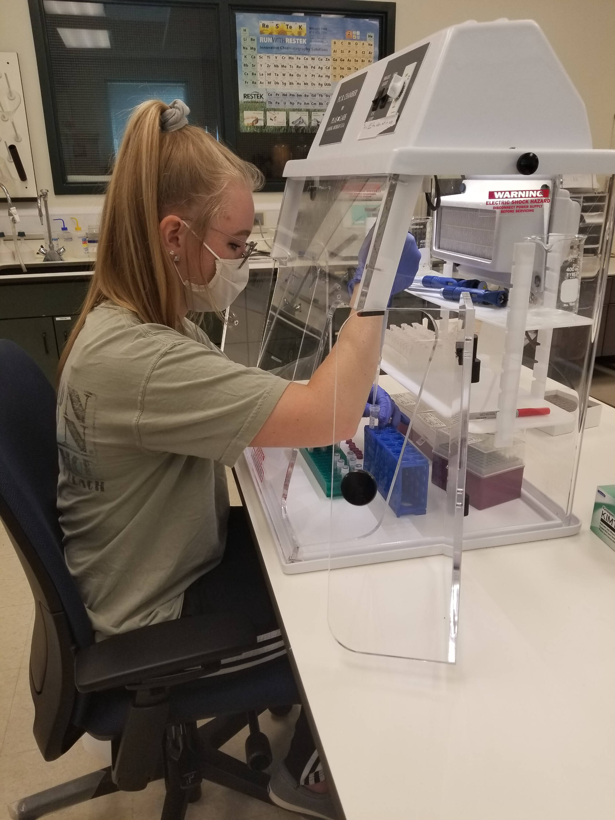 Wipperfurth scholarship awardee Maggie Brenneman works at a molecular biology lab bench.